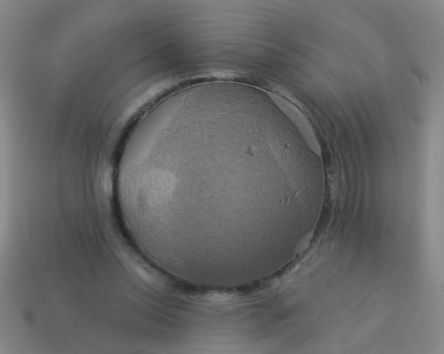 X0000114100350200910191646