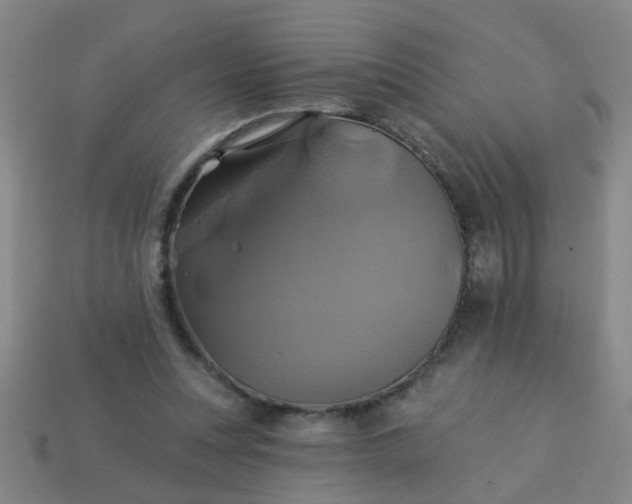 X0000114100351200910191646