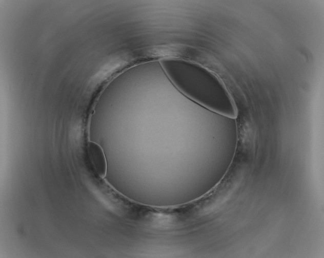 X0000114100352200910191647