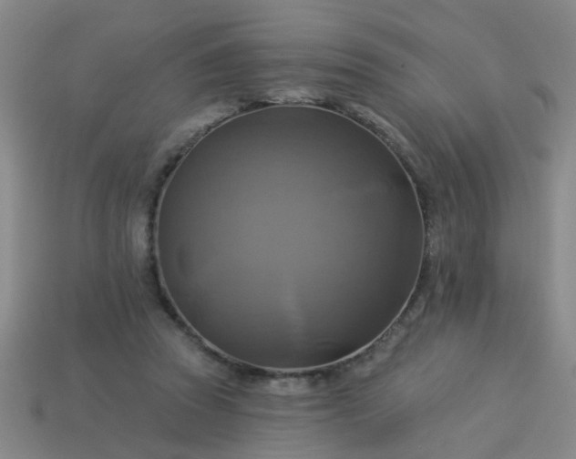 X0000114100353200910191647