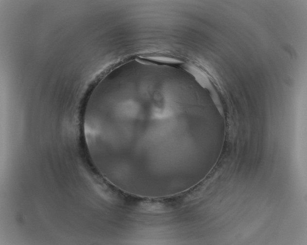 X0000114100354200910191647