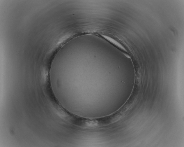 X0000114100355200910191647