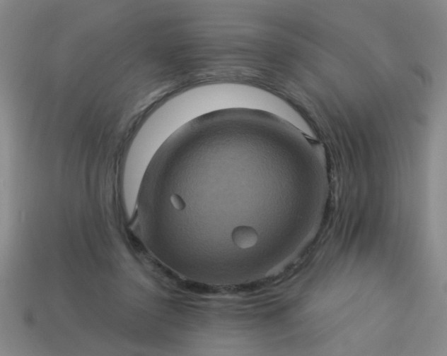 X0000114100356200910191647