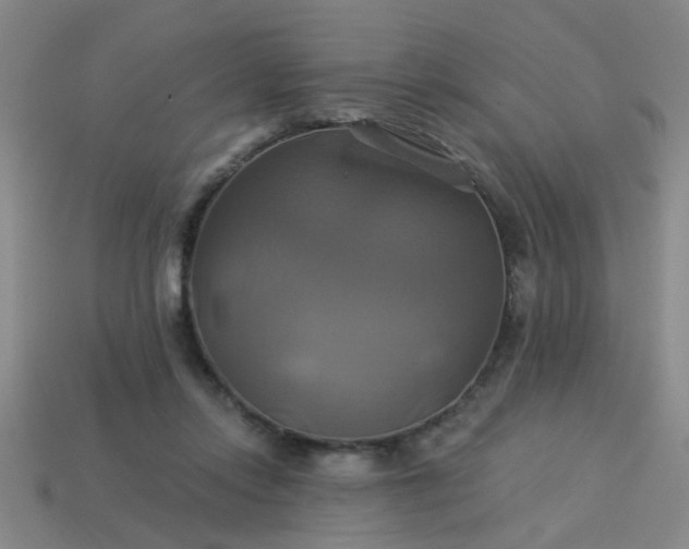 X0000114100358200910191647