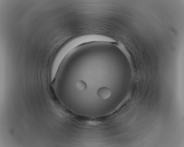 X0000114100360200910191647