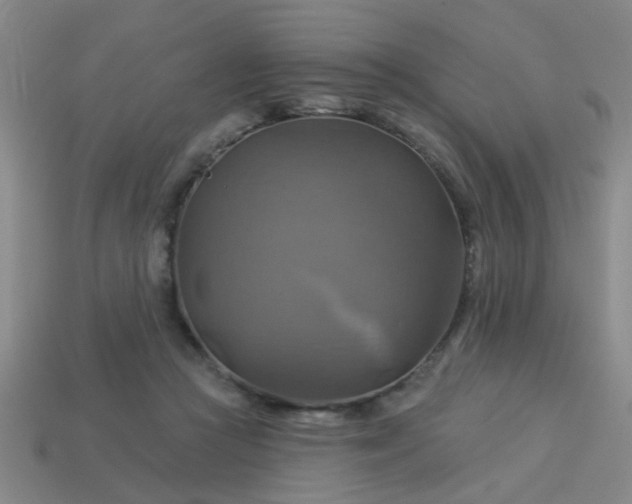 X0000114100361200910191647