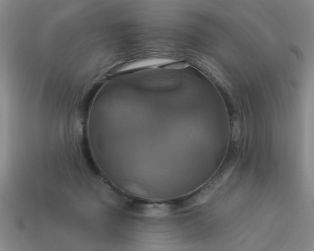 X0000114100363200910191647