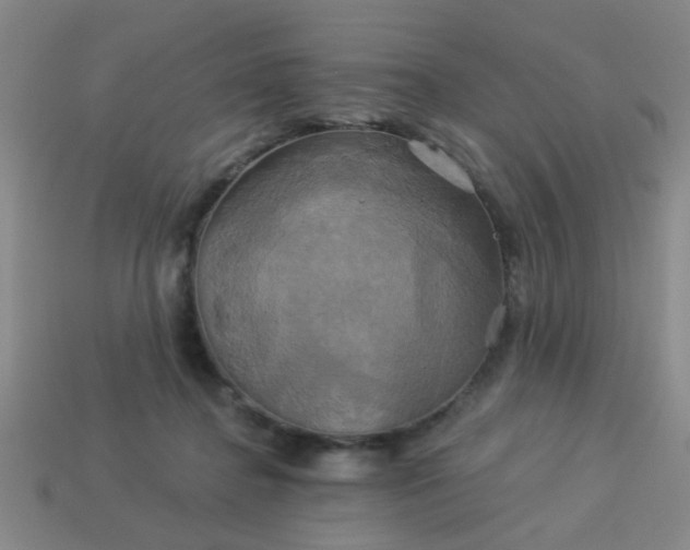 X0000114100364200910191647