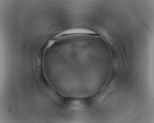 X0000114100365200910191647