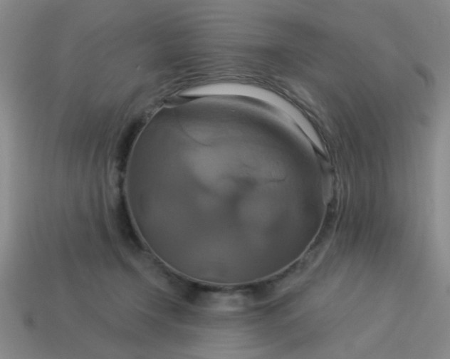 X0000114100366200910191647