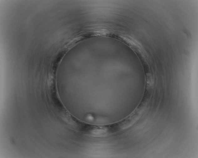 X0000114100369200910191647