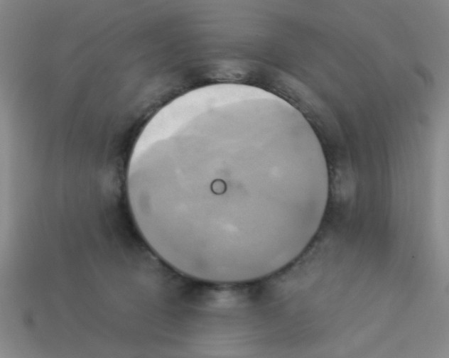 X0000114100370200910191647