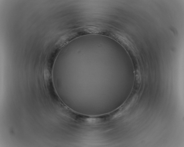 X0000114100371200910191647