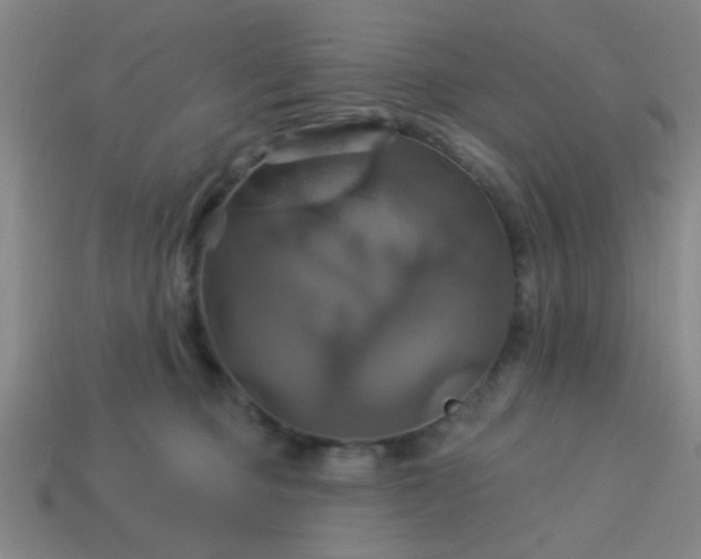 X0000114100373200910191647