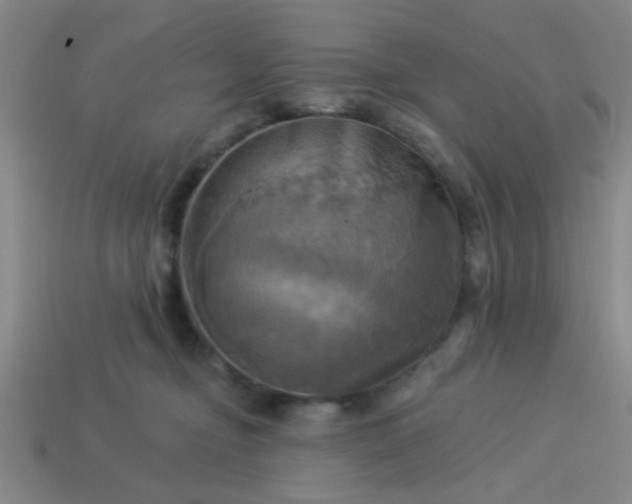 X0000114100374200910191647