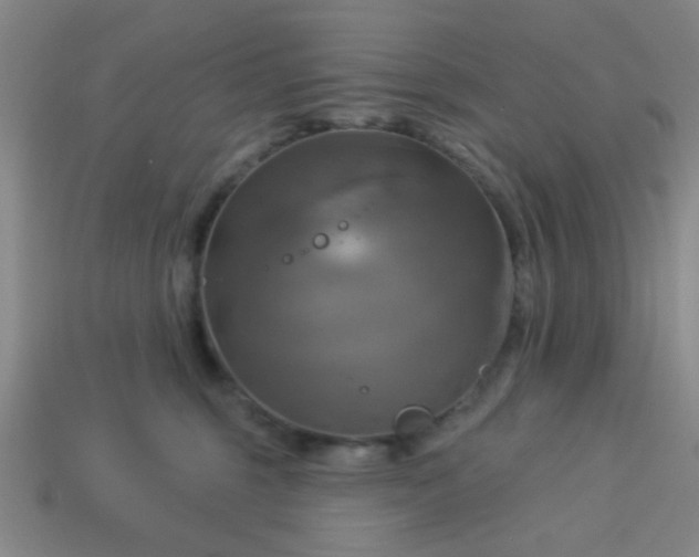 X0000114100375200910191647