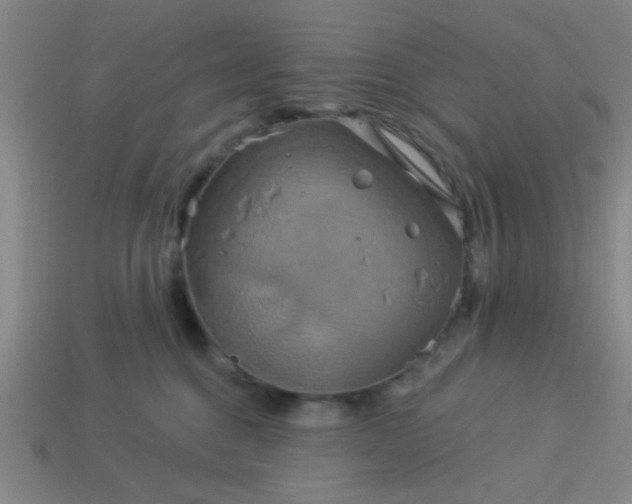 X0000114100376200910191647