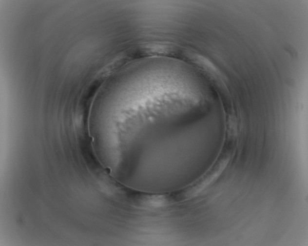 X0000114100377200910191647