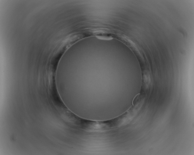 X0000114100379200910191647