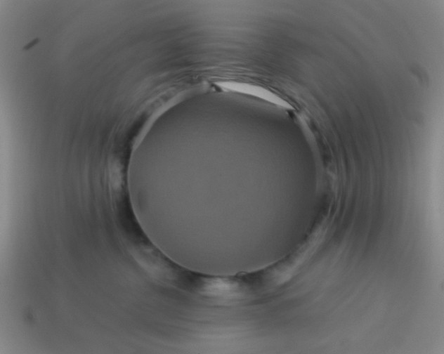 X0000114100380200910191647