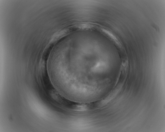 X0000114100381200910191647