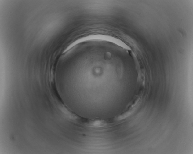 X0000114100382200910191647