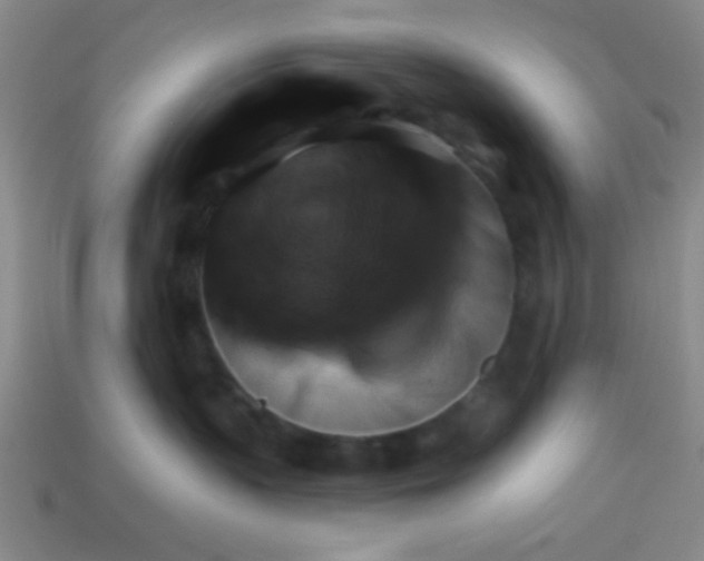 X0000114100383200910191647