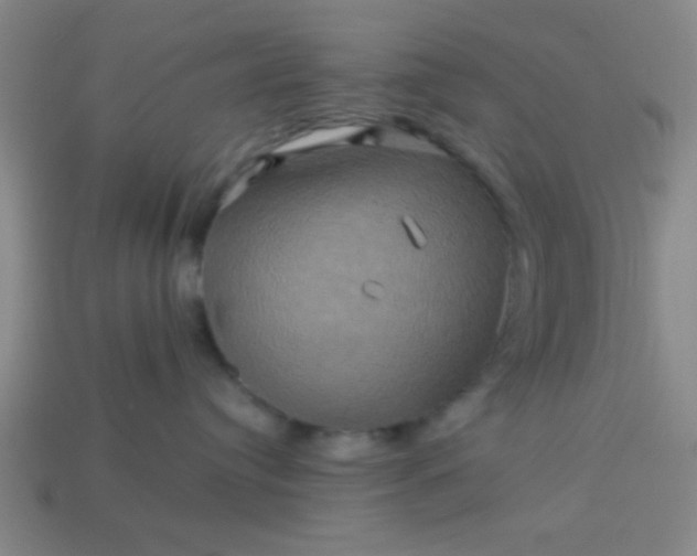 X0000114100384200910191647