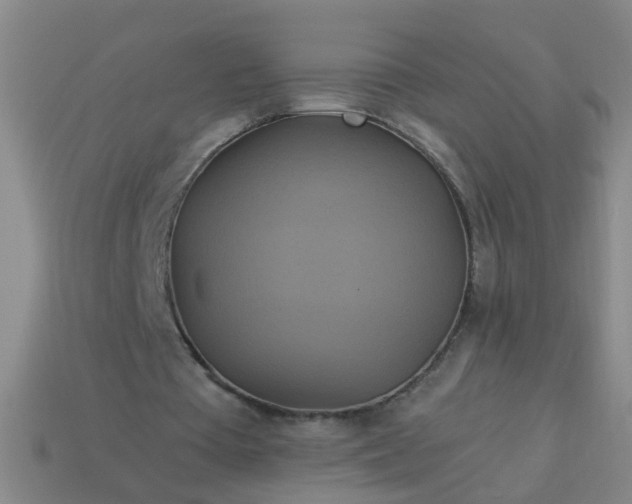 X0000114100385200910191646