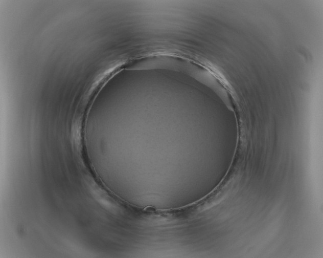 X0000114100386200910191646