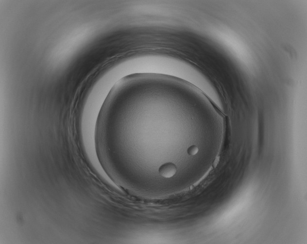 X0000114100387200910191646