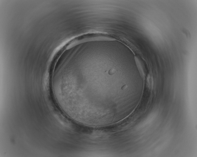 X0000114100388200910191646