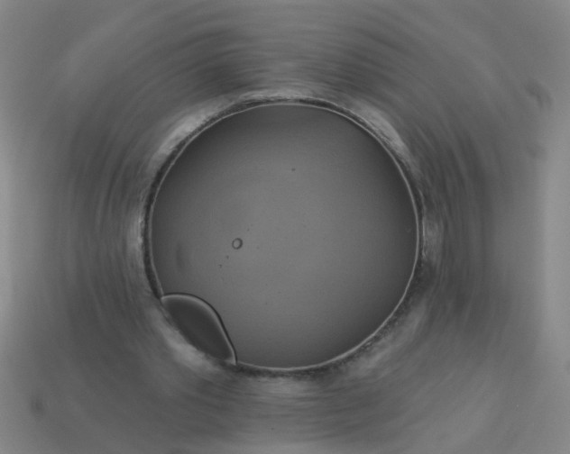 X0000114100389200910191646