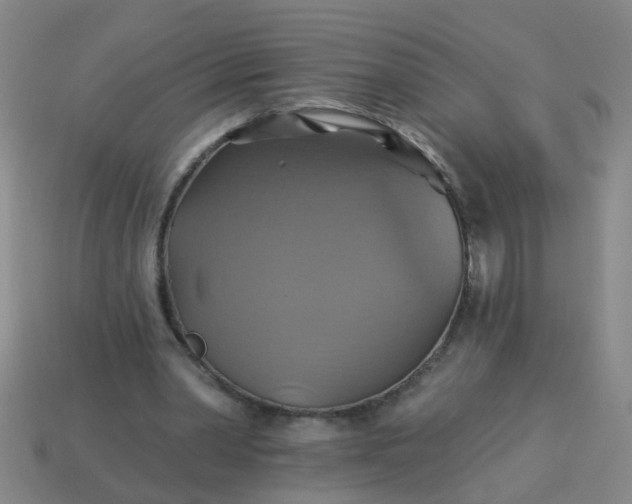 X0000114100390200910191646