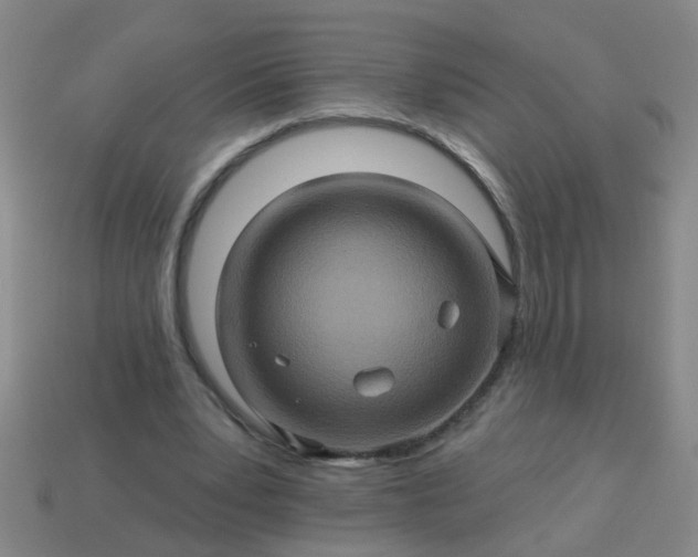 X0000114100391200910191646