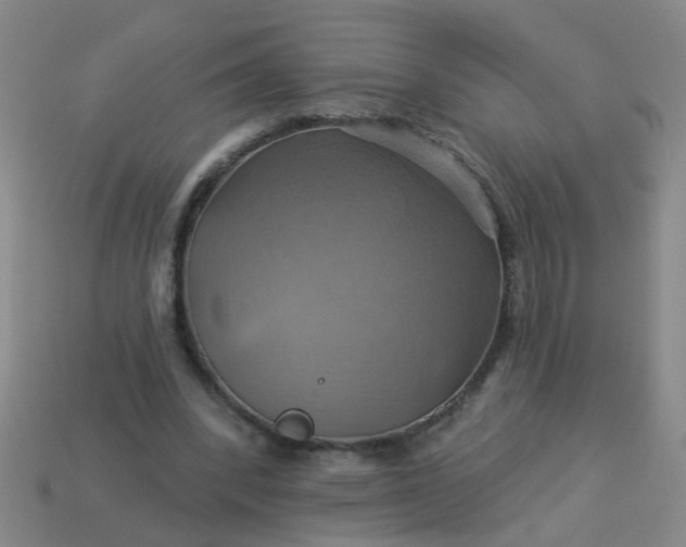 X0000114100392200910191646