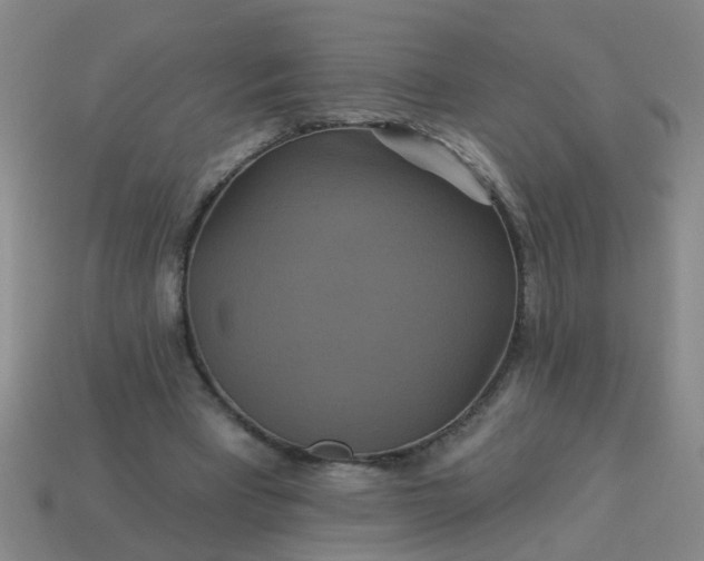 X0000114100393200910191646