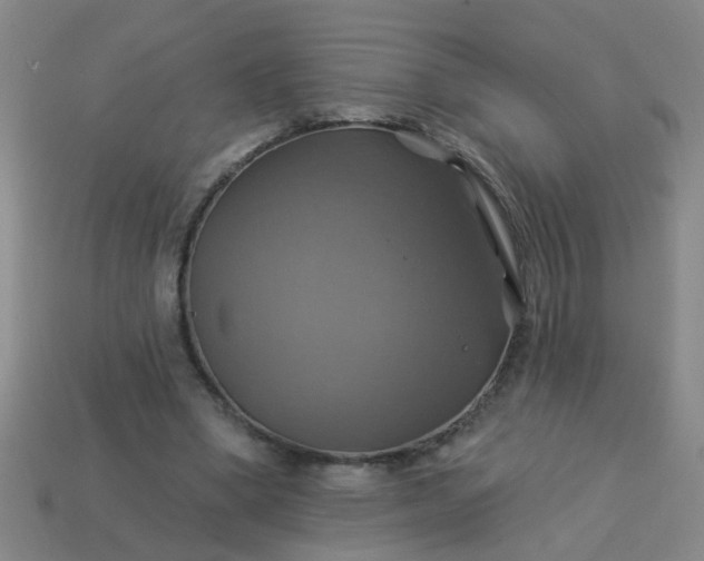 X0000114100394200910191646