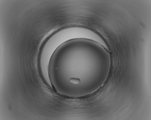 X0000114100395200910191646