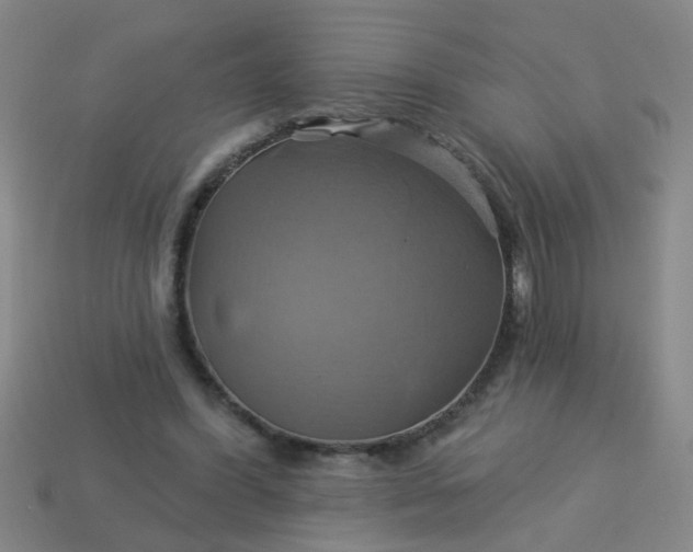 X0000114100396200910191646