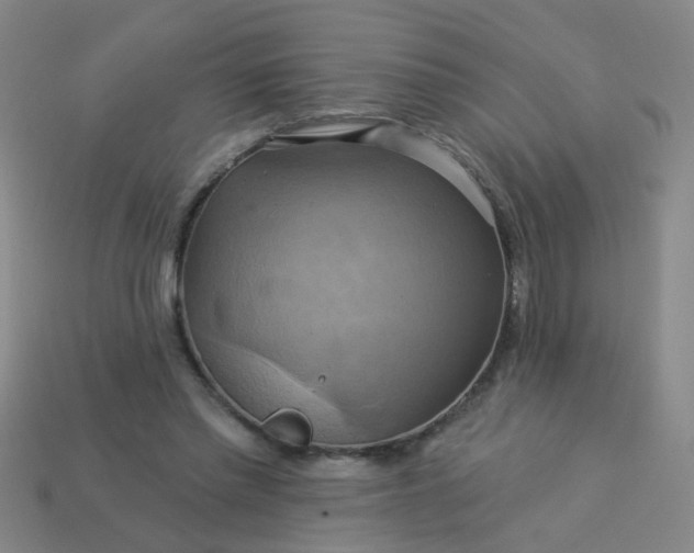 X0000114100397200910191646