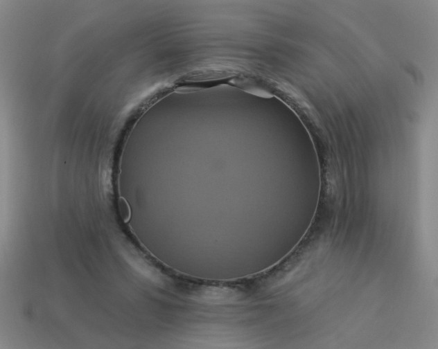 X0000114100399200910191646