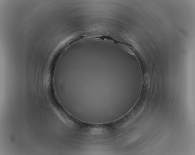 X0000114100400200910191646