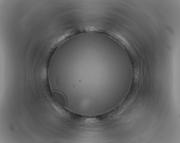 X0000114100401200910191646