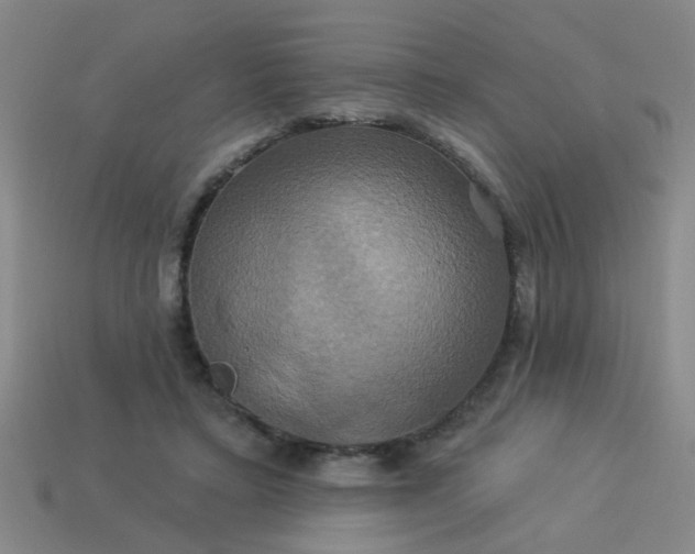 X0000114100403200910191646