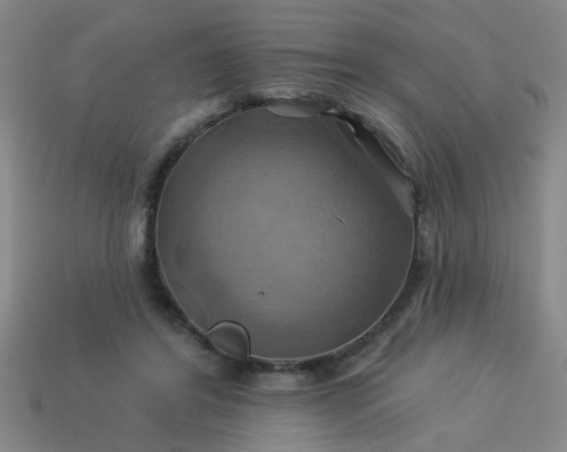 X0000114100404200910191646