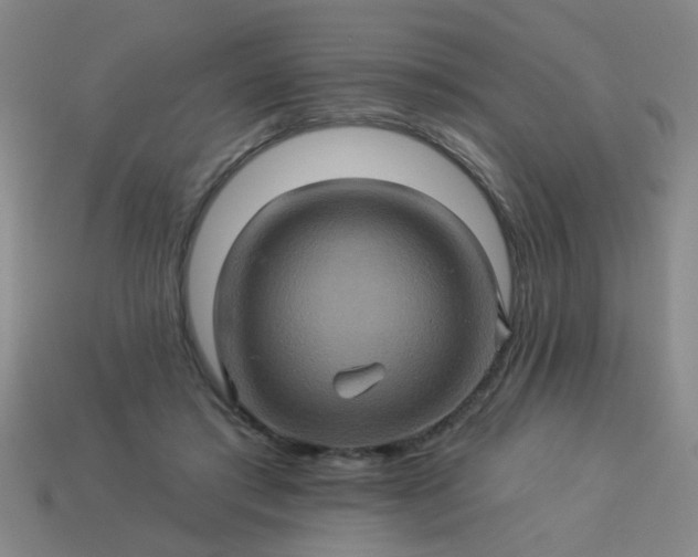 X0000114100405200910191646