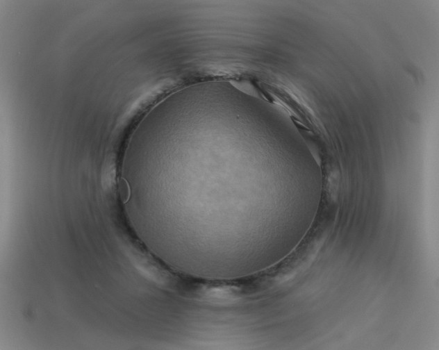 X0000114100407200910191646