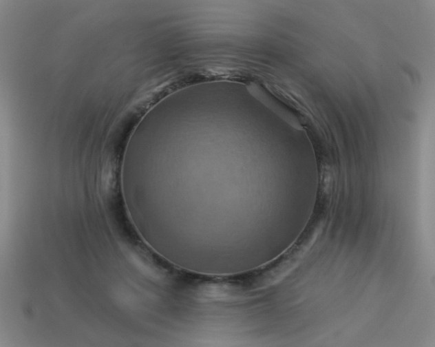 X0000114100408200910191646