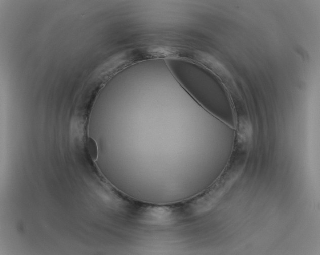 X0000114100409200910191646